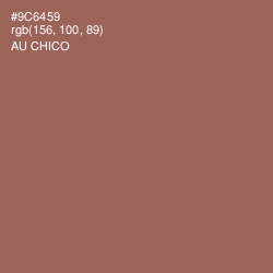 #9C6459 - Au Chico Color Image